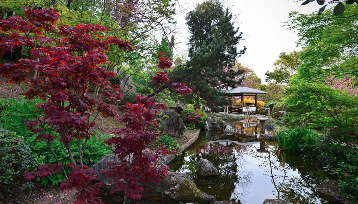 The Botanical Garden